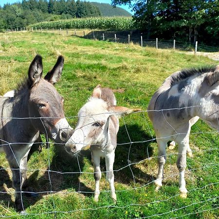 La Chapelle  La Petite Fermeヴィラ エクステリア 写真